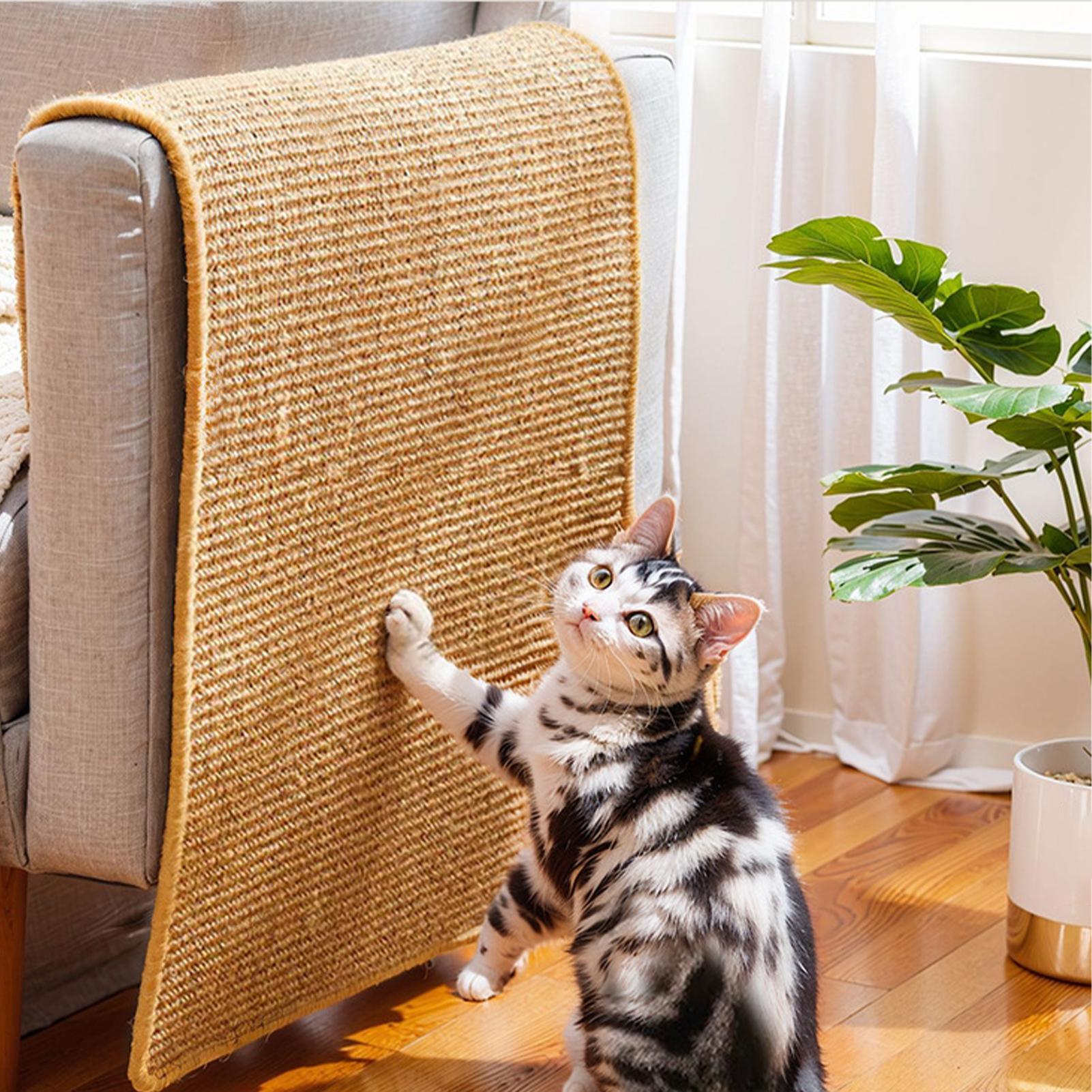 Self-Adhesive Cat Scratcher Ma - Cutting Mat Self Heal ulasan dan harga